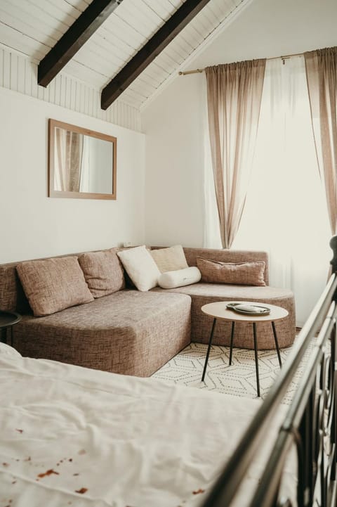 Terrazzo house House in Vojvodina