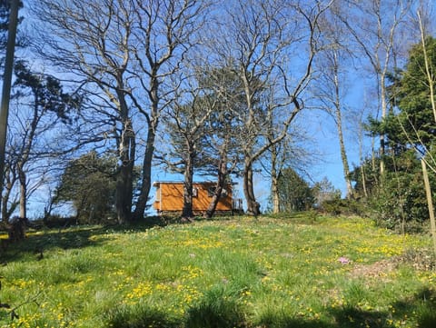 Property building, Spring, Day, Natural landscape, Garden, Garden view