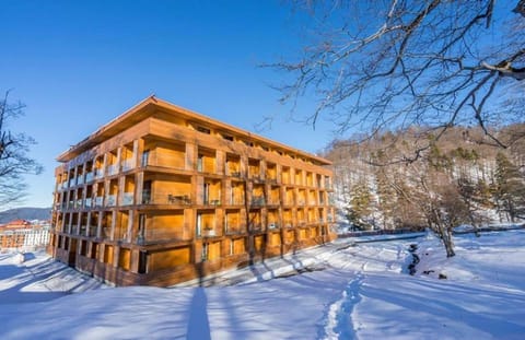 Property building, Natural landscape, Winter