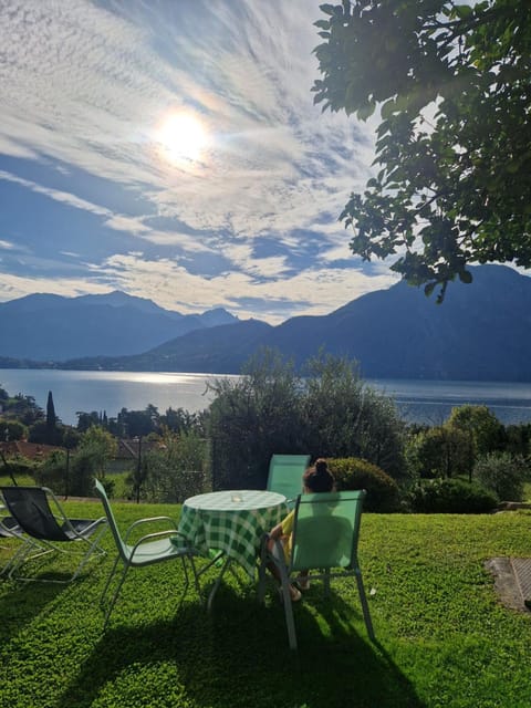 Day, Garden, Garden view