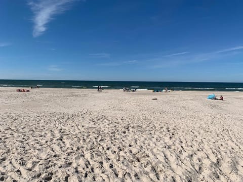 Natural landscape, Beach, Hiking