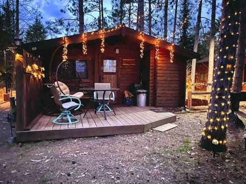 Lakeshore Lily Pad House in Hayward