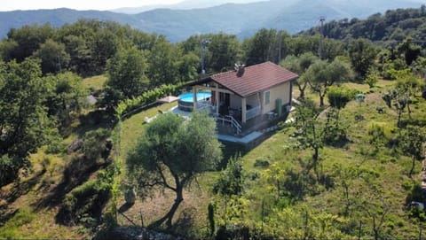 Property building, Bird's eye view