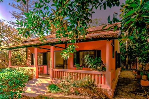 Property building, Garden view