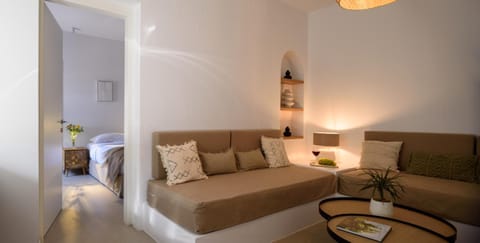 Living room, Photo of the whole room, Decorative detail, Seating area