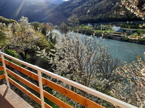 Apartmani Biser Drine Apartment in Montenegro
