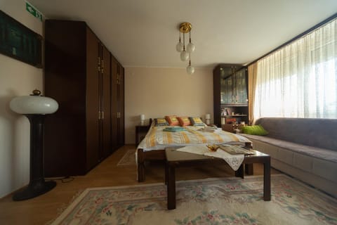 Bed, Living room, Photo of the whole room, Bedroom