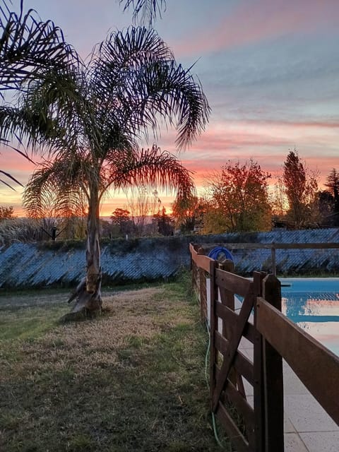Garden view