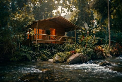 Natural landscape, River view