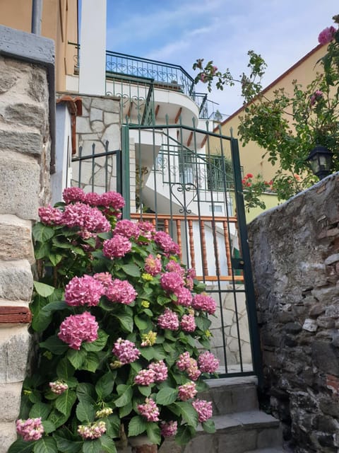 Garden, Garden view