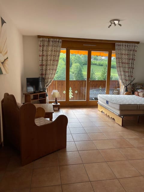 Studio , Val-d’Illiez Apartment in Haute-Savoie