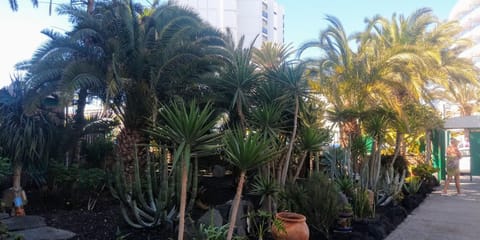 Garden, Garden view