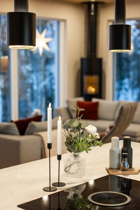 Villa Forest -private location, sauna and jacuzzi Villa in Rovaniemi