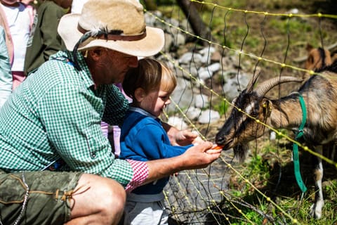 People, Natural landscape, Animals, children