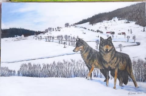 Apartman Kaja Apartment in Federation of Bosnia and Herzegovina