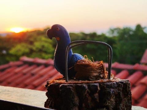 PousaDinháChica Hospedagem perto de Tiradentes e Bichinho House in State of Rio de Janeiro