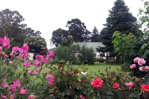 Garden, Garden view