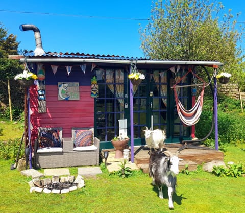 Property building, Animals