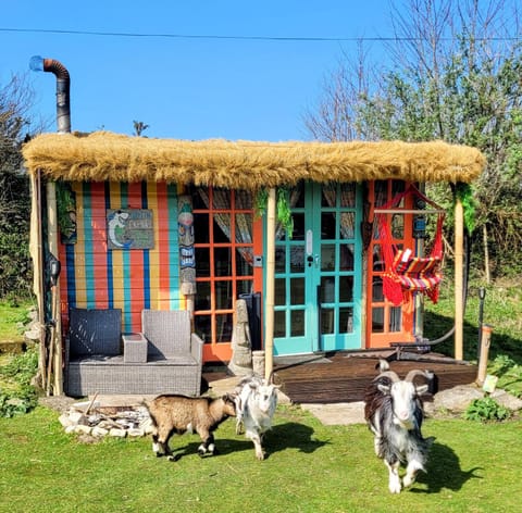 Treguth Glamping Unique Experience - Themed Huts Campground/ 
RV Resort in England