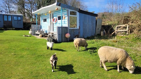 Treguth Glamping Unique Experience - Themed Huts Campground/ 
RV Resort in England