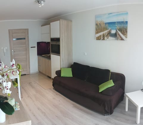 Apartament Zielona Wydma Apartment in Leba