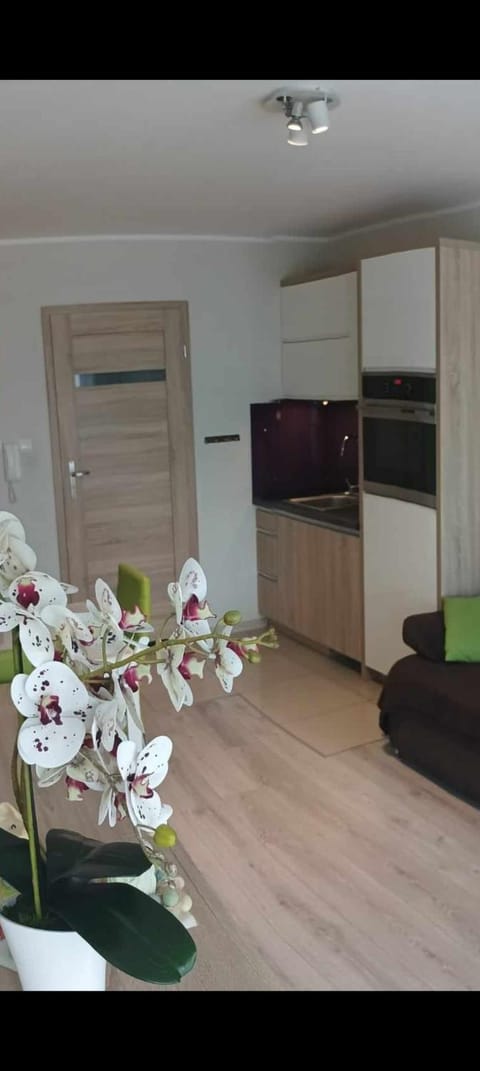 Apartament Zielona Wydma Apartment in Leba