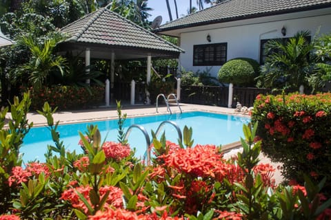 Property building, Day, Garden, Garden view, Pool view, Swimming pool, sunbed