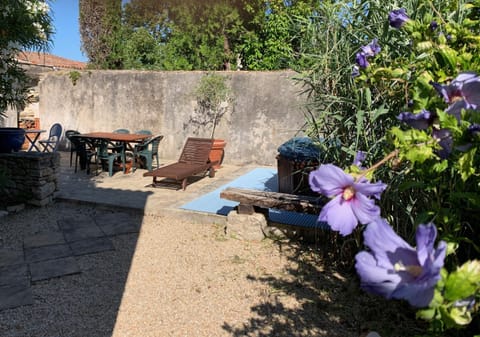 Patio, Garden, Garden view