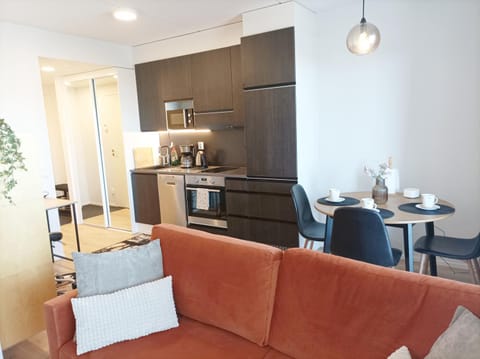 Ihana uusi huoneisto keskustassa, ilmainen autopaikka! Apartment in Finland