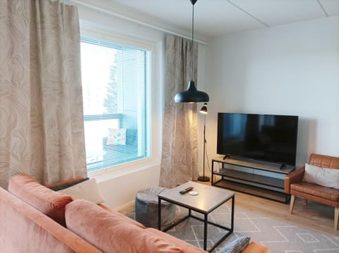 Ihana uusi huoneisto keskustassa, ilmainen autopaikka! Apartment in Finland