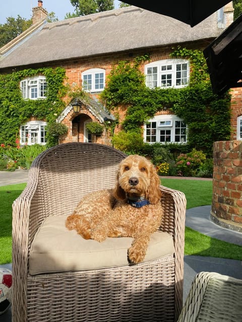 Little Woodside a beautiful New Forest self contained private luxury annexe House in New Milton