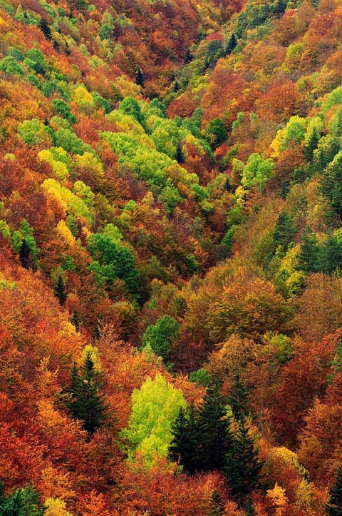 Natural landscape