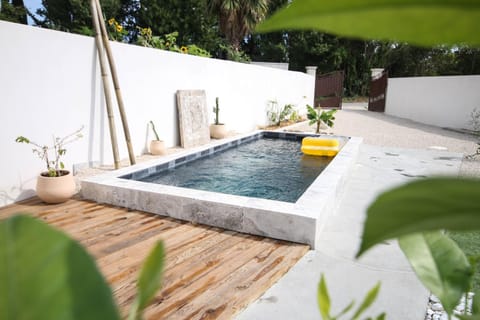 Garden, Pool view, Swimming pool