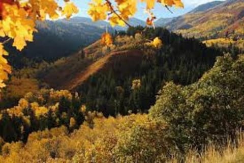 Midway to Heaven! BRAND NEW 5 bed 4.5 bath, HOTTUB House in Midway