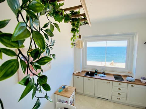 Kitchen or kitchenette, Sea view