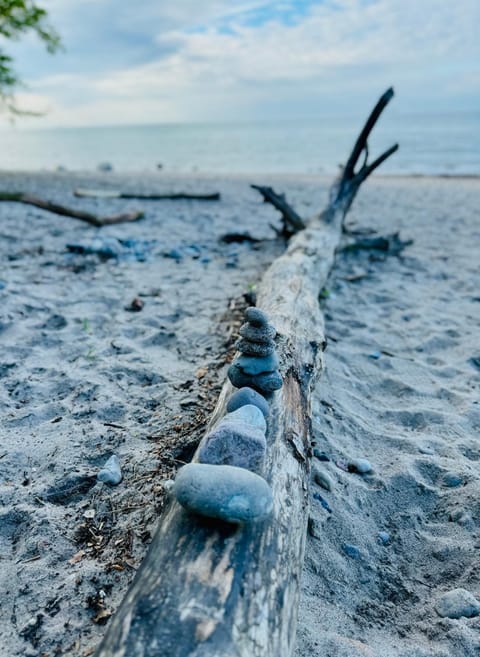 Ferienwohnung Rostock Nähe Warnemünde Apartment in Mecklenburg-Vorpommern, Germany