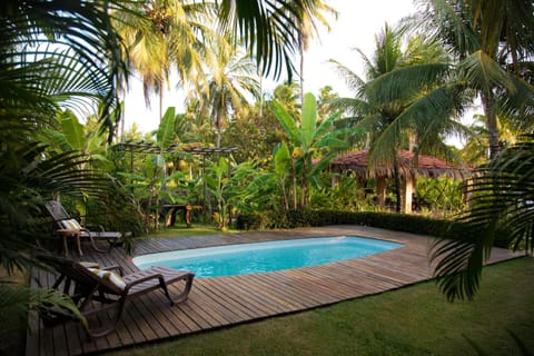 Natural landscape, Garden, Swimming pool