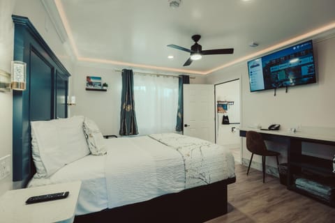 Bed, TV and multimedia, Photo of the whole room, Bedroom, fireplace, air conditioner