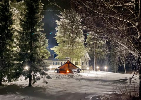 Night, Natural landscape, Winter