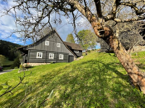 Natural landscape, Garden view