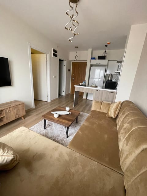 TV and multimedia, Kitchen or kitchenette, Living room, Seating area, Dining area