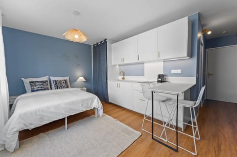 M041 Studio lumineux avec vue sur Montagne Apartment in Annemasse