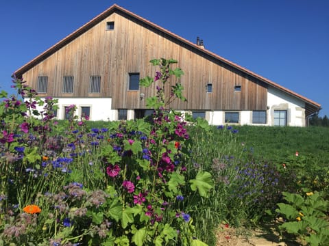Property building, Spring, Garden
