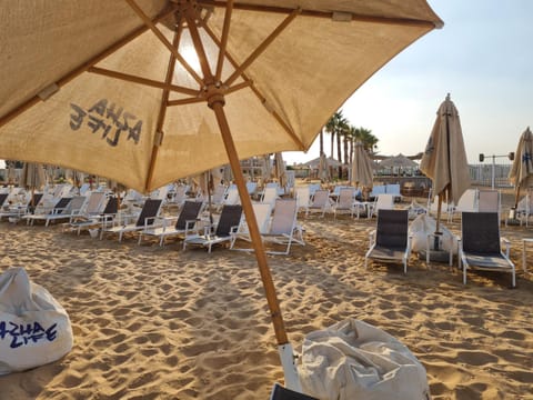 Beach, Beach, sunbed