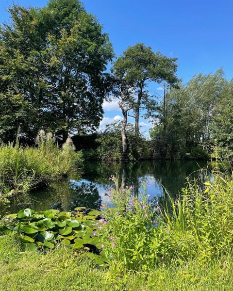 Natural landscape, Garden