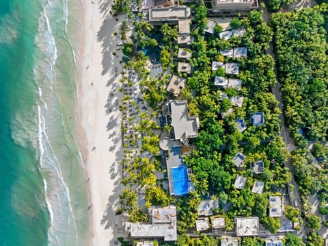 Bird's eye view, Beach