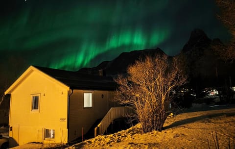 Cozy Apartment between sea and mountains Apartment in Nordland, Norway