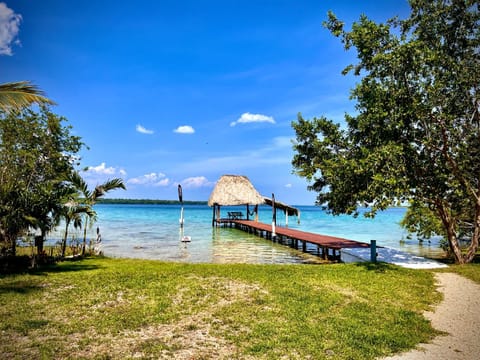 Lake view