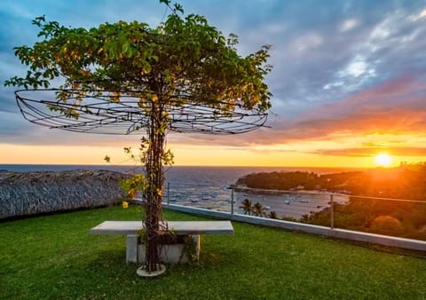 Nearby landmark, Spring, Day, Natural landscape, Garden, Garden, Garden view, Sea view, Sunrise, Sunset