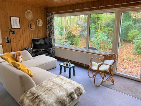 TV and multimedia, Living room, Seating area, Garden view